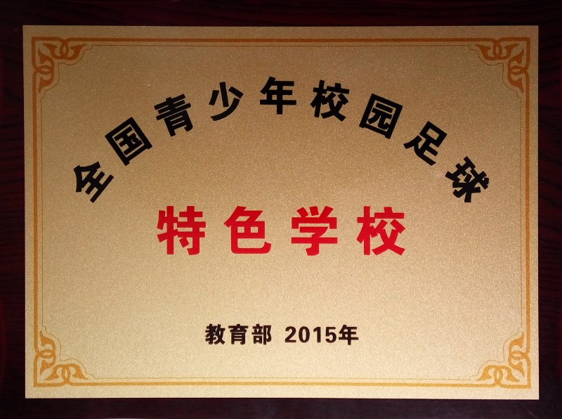 开云官网APP下载-特色足球产业联盟在全国多地点成立，推动行业链深度融合的简单介绍