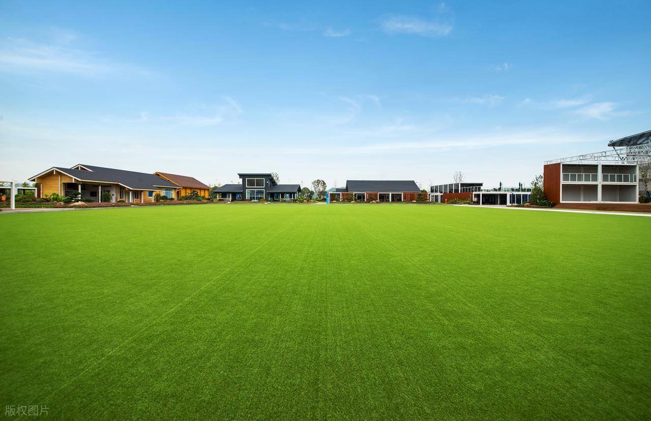 开云入口-包含全国青少年“体育+环保”跨界合作在长沙创新展开，倡导绿色运动理念的词条