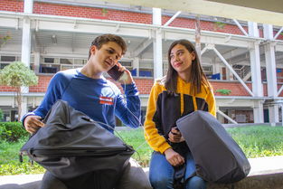 开云平台-世界青少年攀岩技能大赛在上海盛大举行，众少年展风采，2020年全国青少年攀岩锦标赛