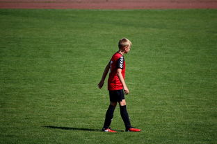 Kaiyun APP-世界青年滑板锦标赛中国少年夺奖，青少年滑板联赛