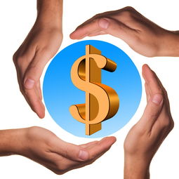 开云·体育官网-体育教学中增强现实与虚拟现实融合应用，结合教学实践谈谈示范在体育教学中的运用