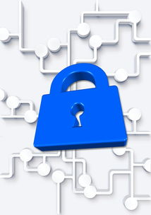 开云入口-高校体育社团管理数字化平台构建方案，全国性体育社团